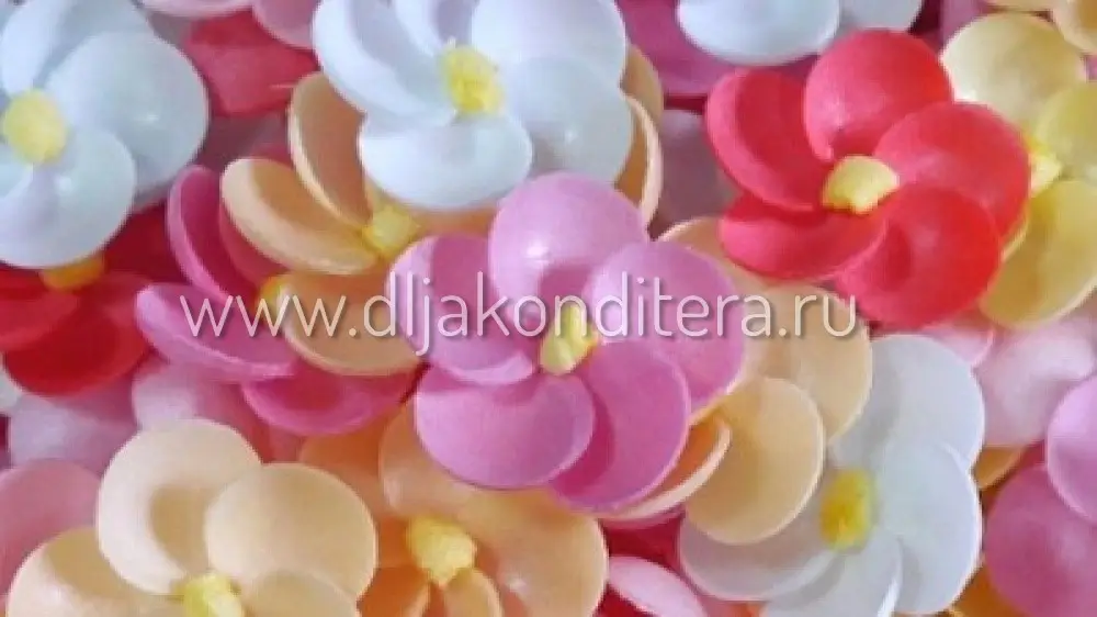 Фото #1 товара Вафельные цветы Флоксы 10 шт цвет микс