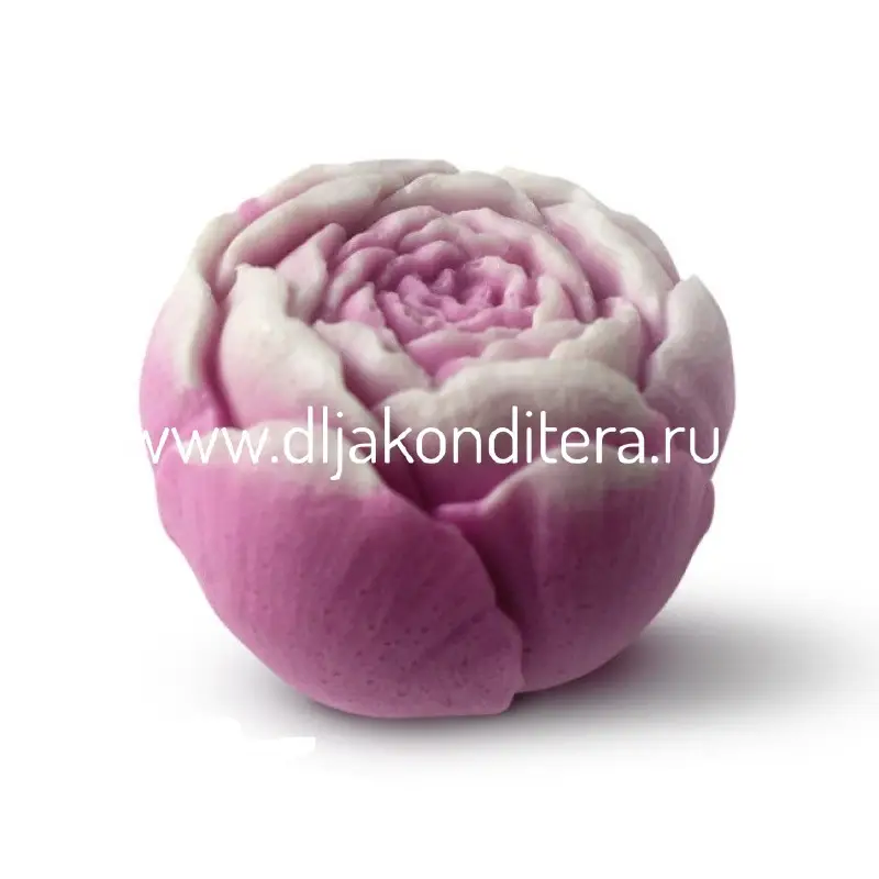 Фото #1 товара 3D молд Пион №1