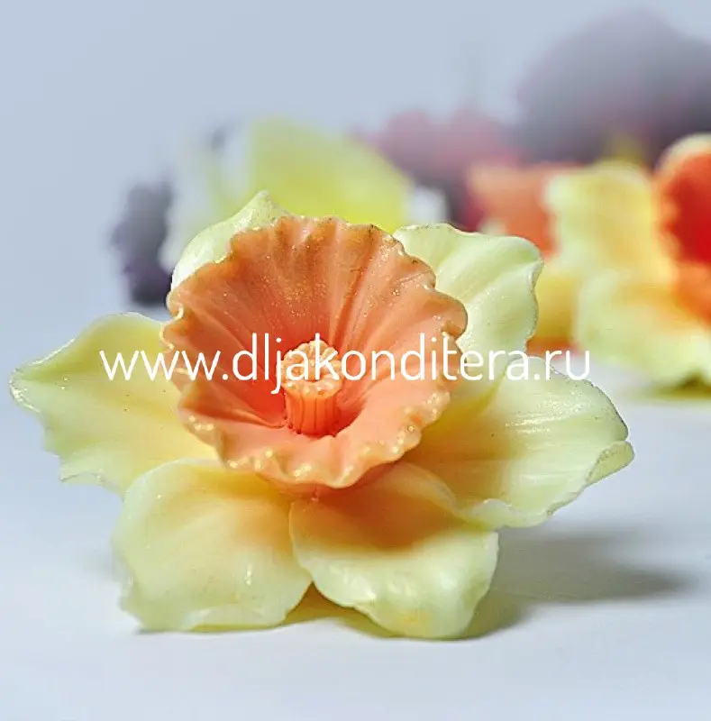 Фото #1 товара 3D молд Нарцисс d7,5см