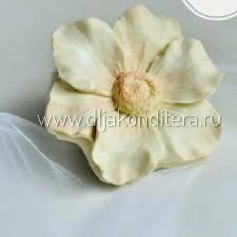 Фото #1 товара 3D молд Анемон