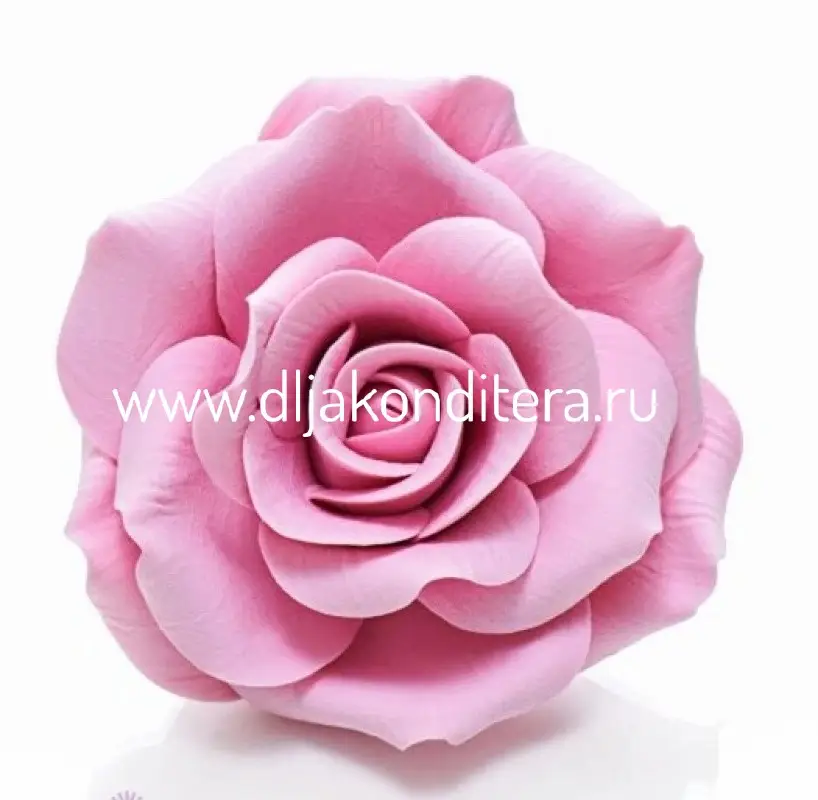 Фото #1 товара 3D молд Роза классик