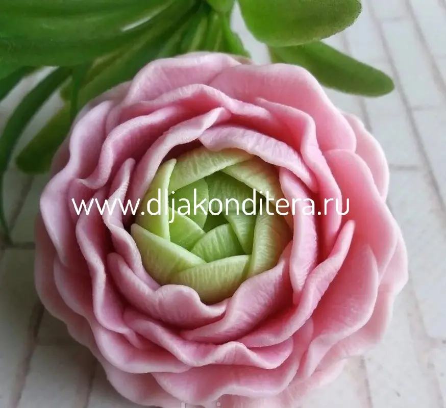 Фото #1 товара 3D молд Ранункулюс d6см