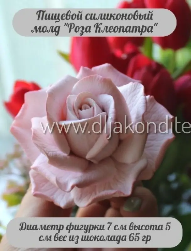Фото #1 товара 3D молд Роза Клеопатра d7см